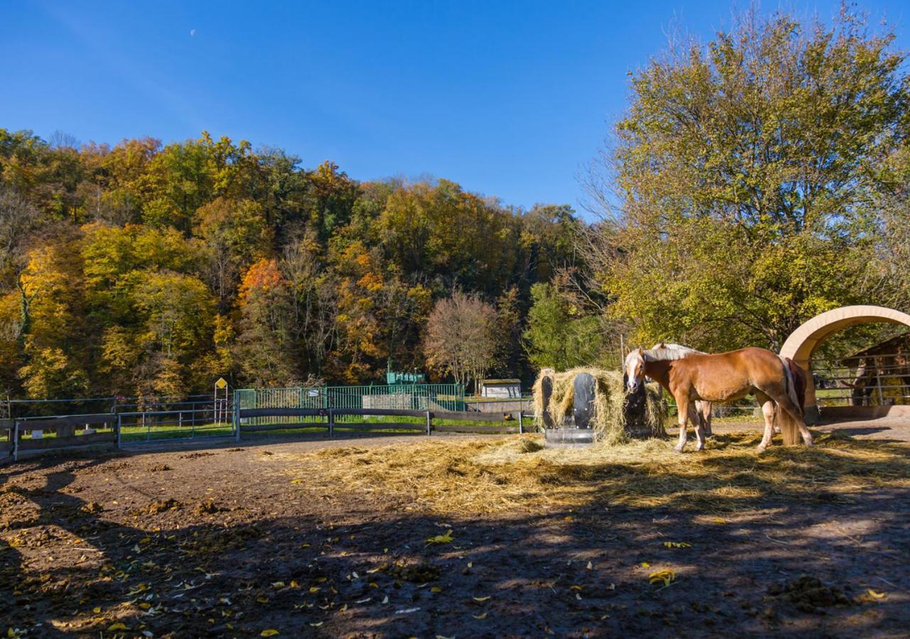 Hotel & Ferienwohnungen Bohlenblick Saalfeld Saale Kültér fotó